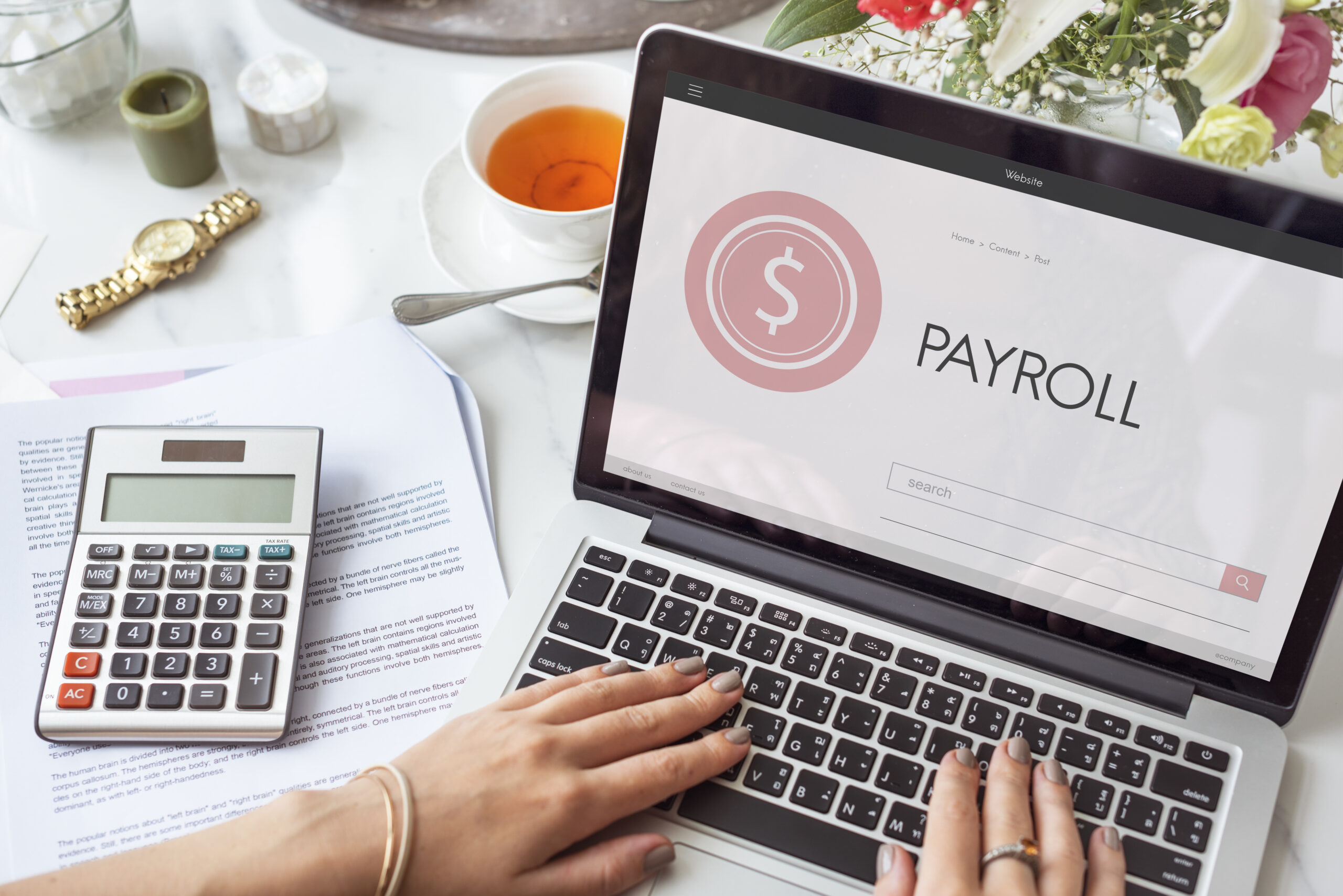 Revolutionizing Payroll Management: The Role of Payroll Software for Accountants