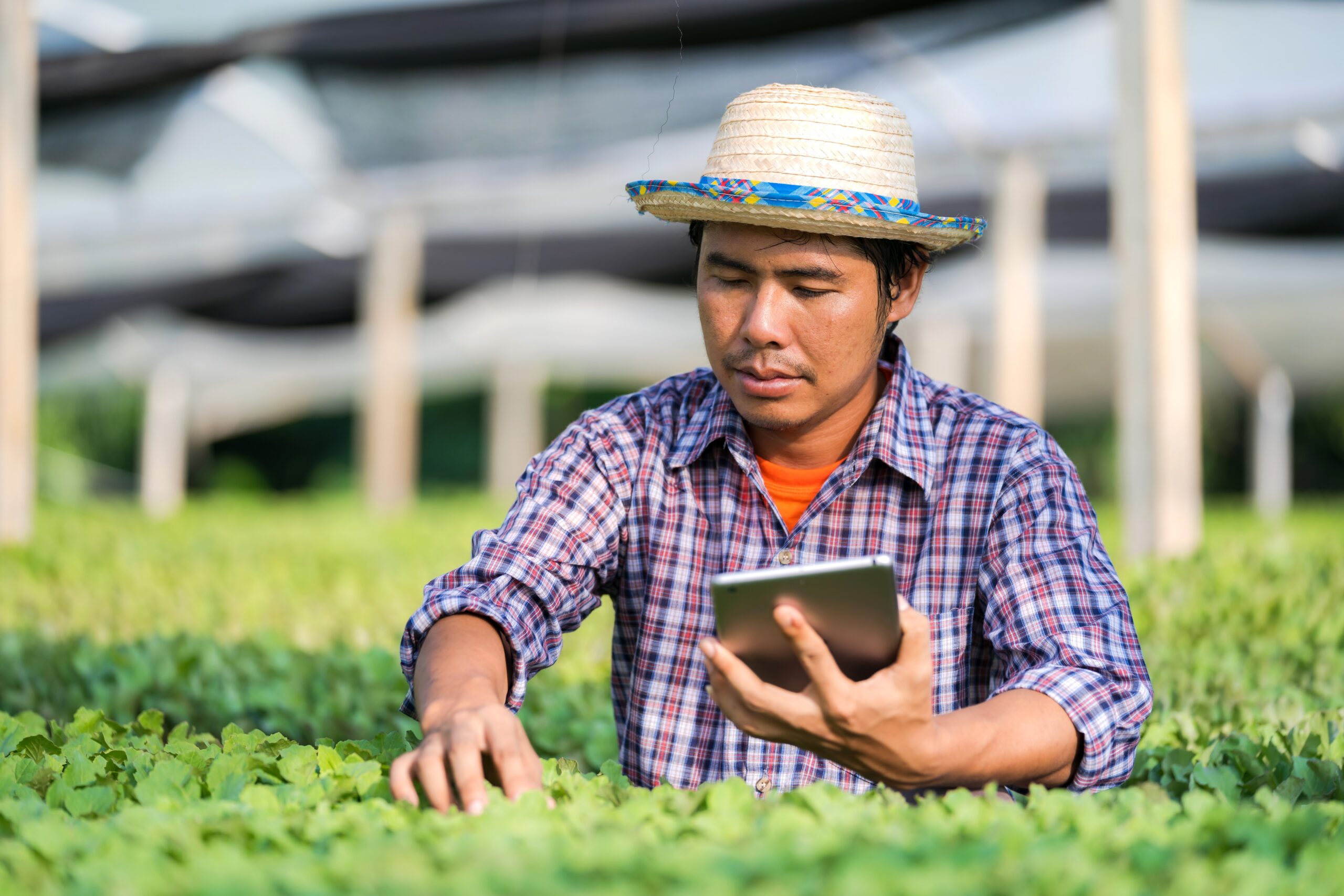 From Field to Screen: The Evolution of Farm Management Software